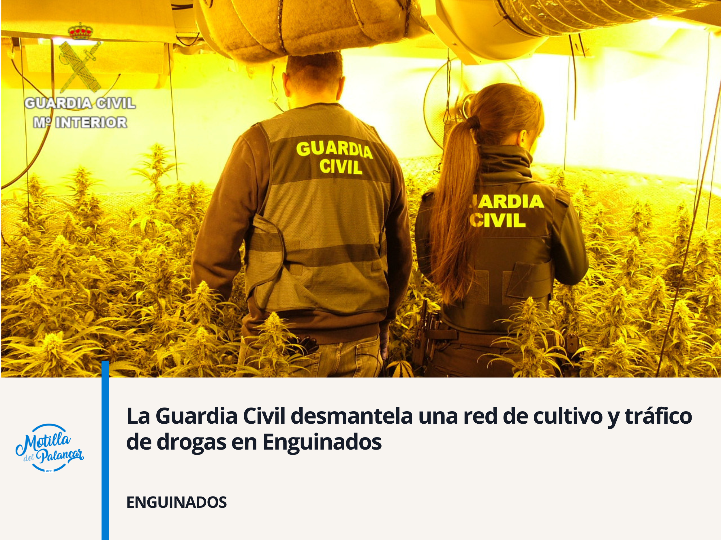 La Guardia Civil desmantela una red de cultivo y tráfico de drogas en Enguinados - imagen 1