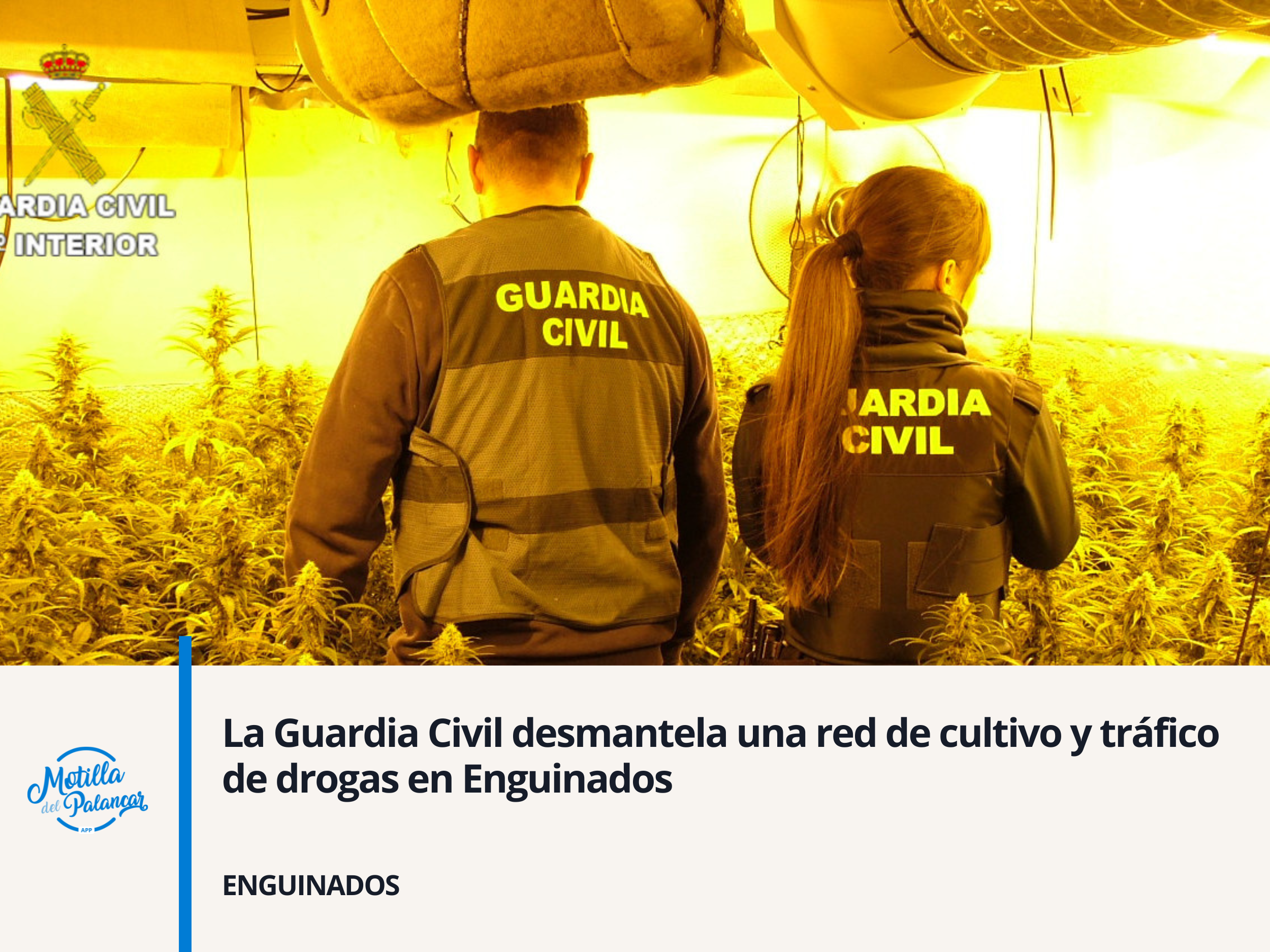 La Guardia Civil desmantela una red de cultivo y tráfico de drogas en Enguinados - imagen 1