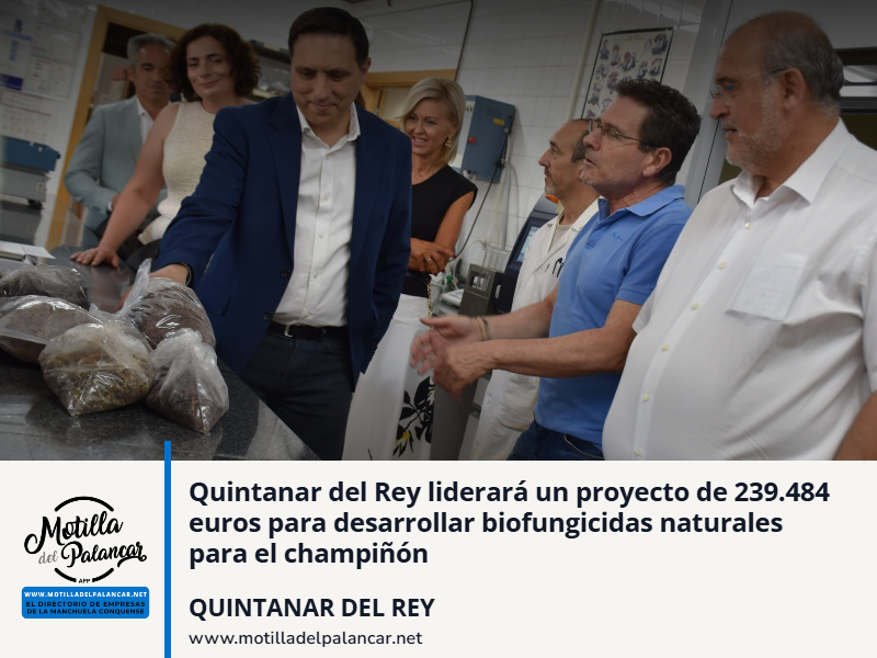 Quintanar del Rey liderará un proyecto de 239.484 euros para desarrollar biofungicidas naturales para el champiñón - imagen 1