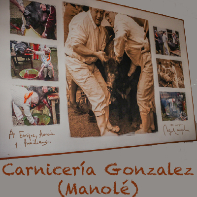 Logo carniceri%cc%81a manole
